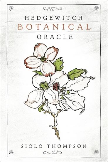 Hedgewitch Botanical Oracle — original deck artwork